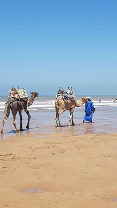 Charmant Riad Pour Familles Ou Groupes - Dar Mama Essaouira Bagian luar foto