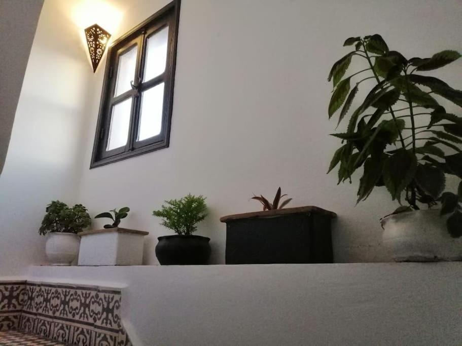 Charmant Riad Pour Familles Ou Groupes - Dar Mama Essaouira Bagian luar foto